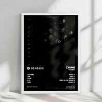 Crumb "Ice Melt" Album Cover Poster - with Complete Tracklist