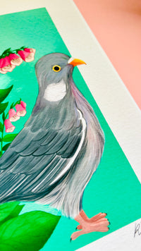 Wood Pigeon Art Print- British Wildlife Illustration