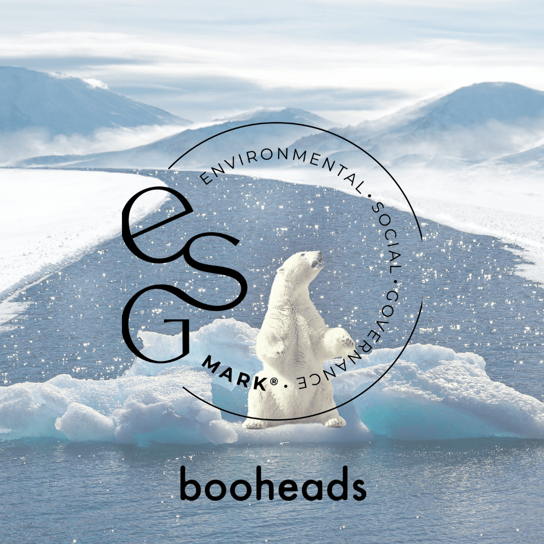 booheads - 1PK - Bamboo Toothbrush - Green | Biodegradable, bamboo and plant-based