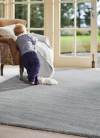 Country Sea Mist Solid Wool Rug
