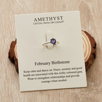 February (Amethyst) Adjustable Birthstone Ring Created with Zircondia® Crystals