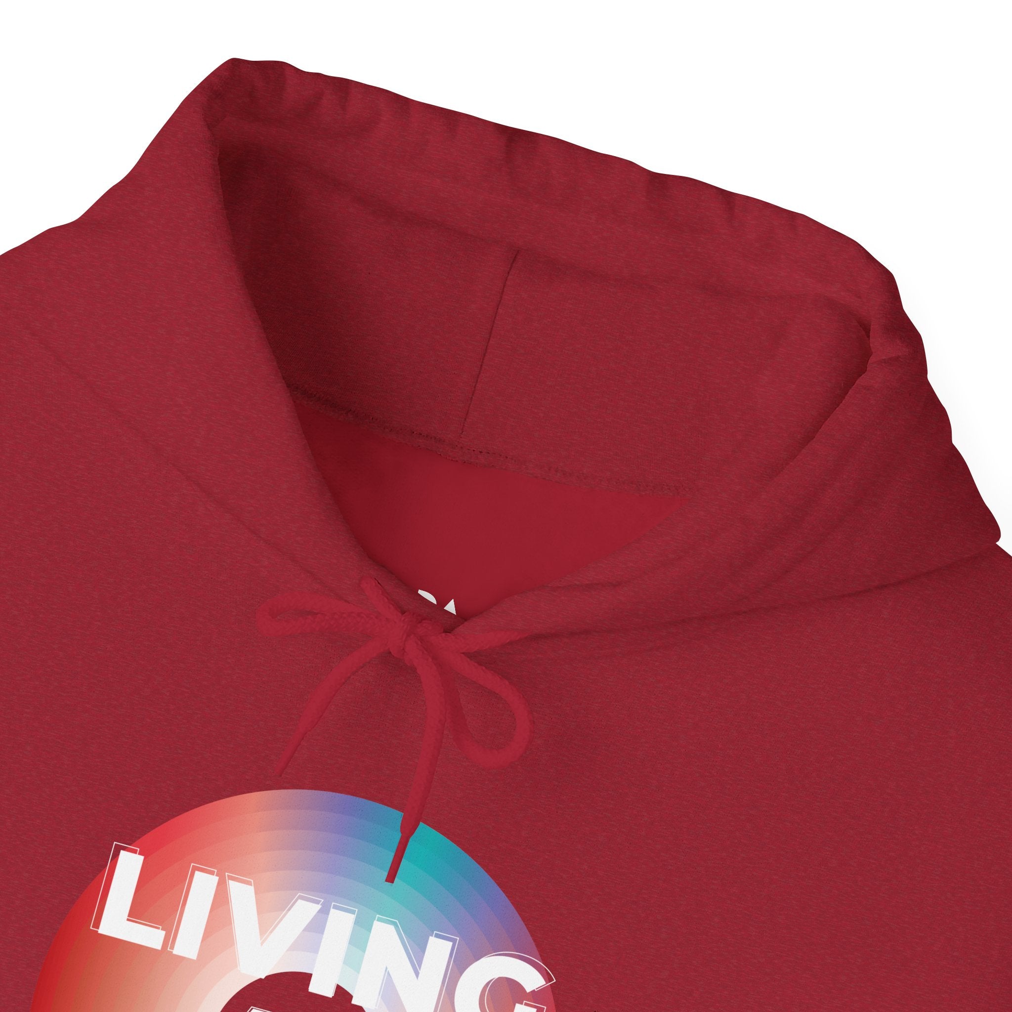 'Living at 33rpm' Men's Hoodie