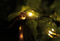 Cascading Solar Lights Watering Can