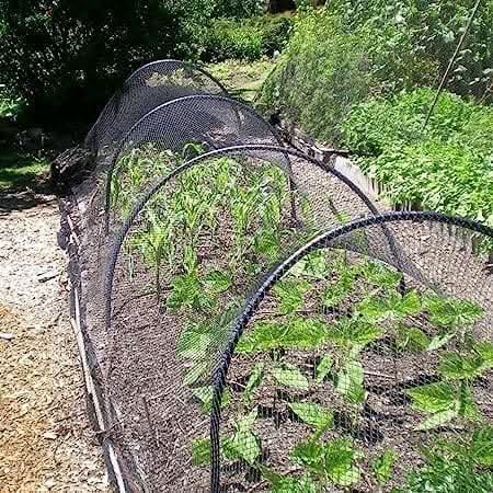Garden Mile Pond Netting - 2m x 4m Fine Mesh Netting for Plants Garden Bird Protection