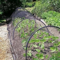 Garden Mile Pond Netting - 2m x 4m Fine Mesh Netting for Plants Garden Bird Protection