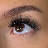 Pre-Glued Lashes - K Glue No Faff Lash - Fia