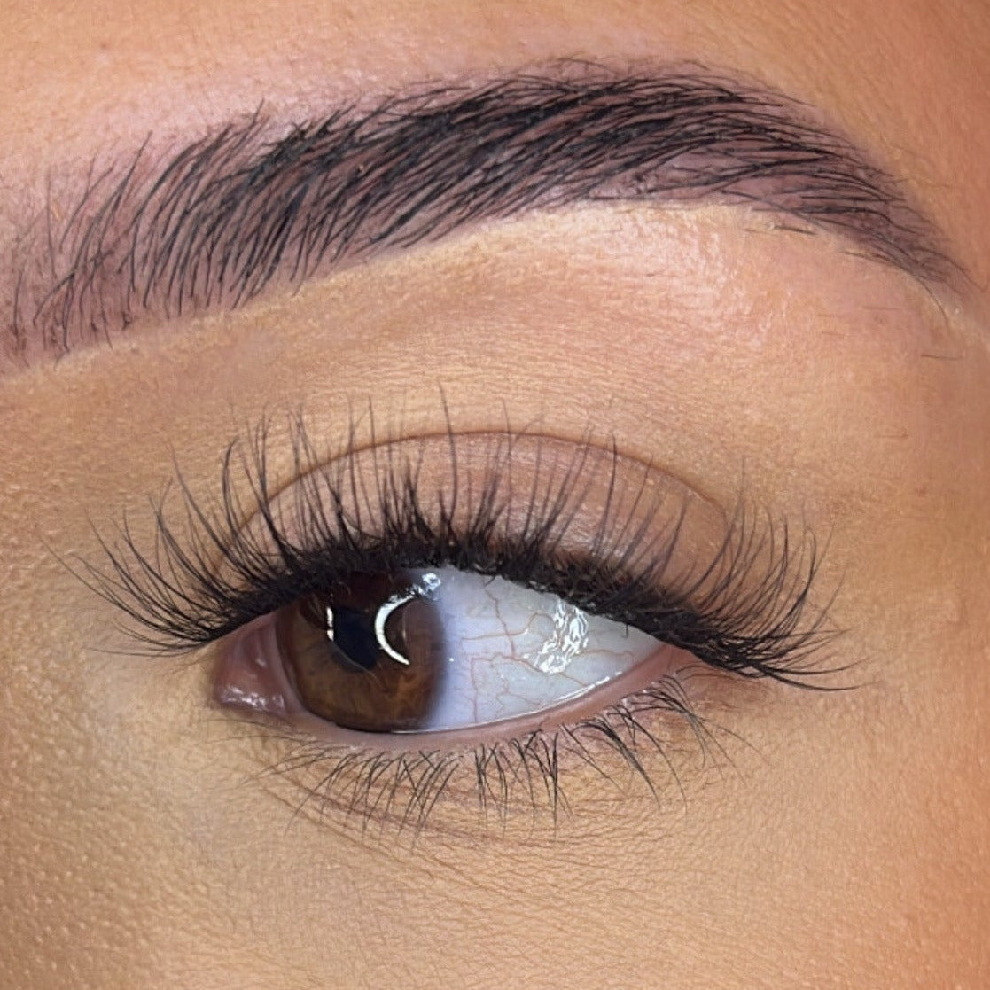 Pre-Glued Lash Clusters -  Faff Lash - Mia