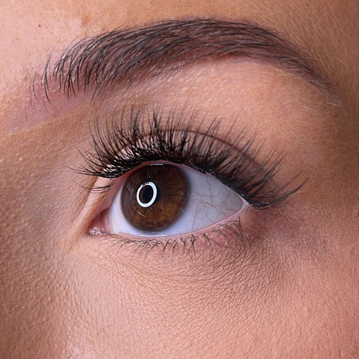 **NEW** Pre-Glued Lashes - K Glue No Faff Lash - Dee
