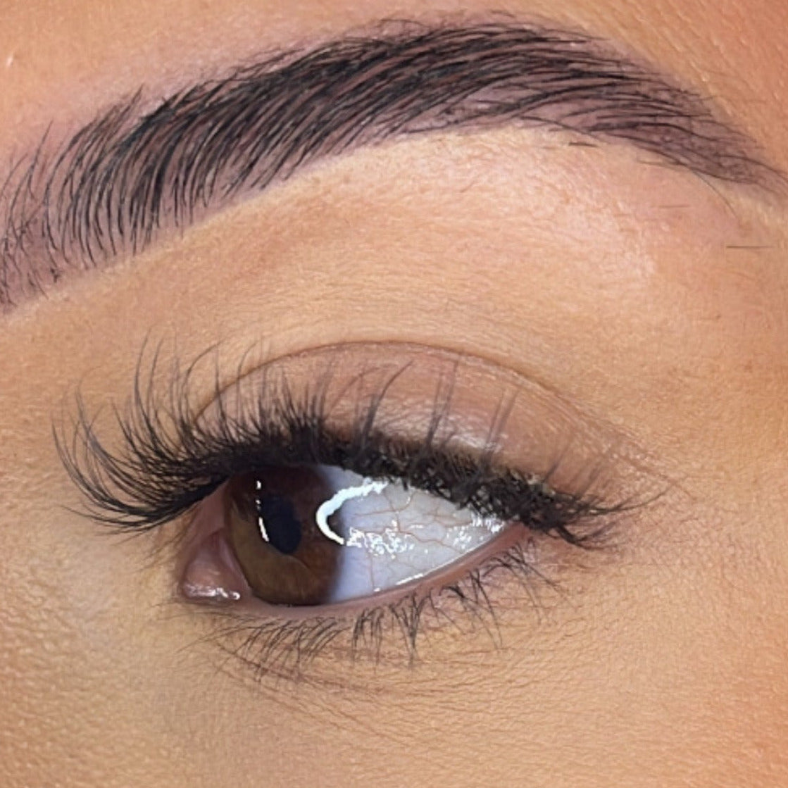 Preglued Lash Clusters -  Faff Lash - Ava