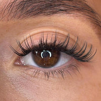 Alma Lash Ribbons® Collections