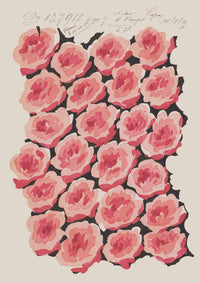 No.006 -  Baby Rose - Vintage Archive Poster Prints