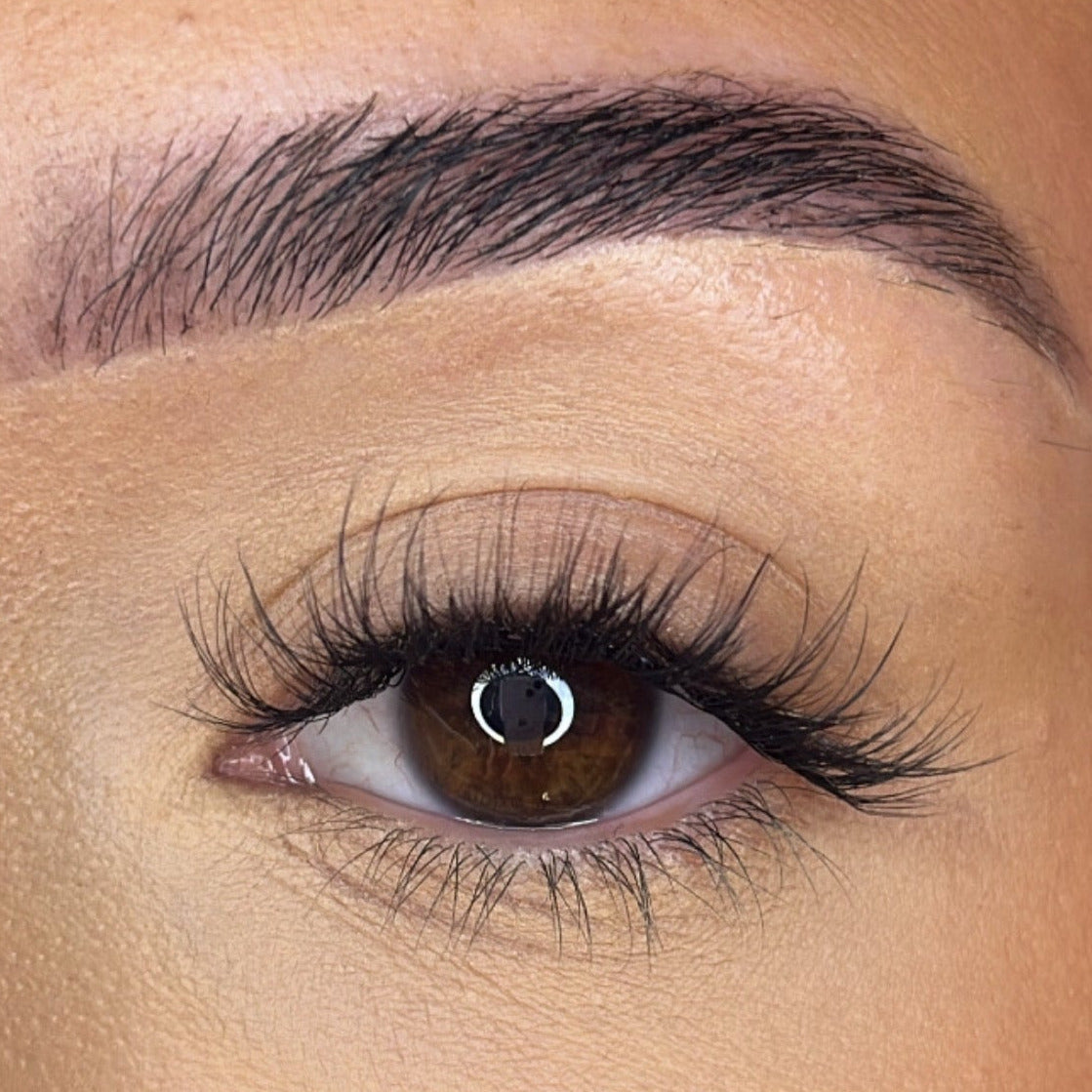 Preglued Lash Clusters -  Faff Lash - Ava