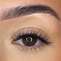 Preglued Lash Clusters -  Faff Lash - Ava