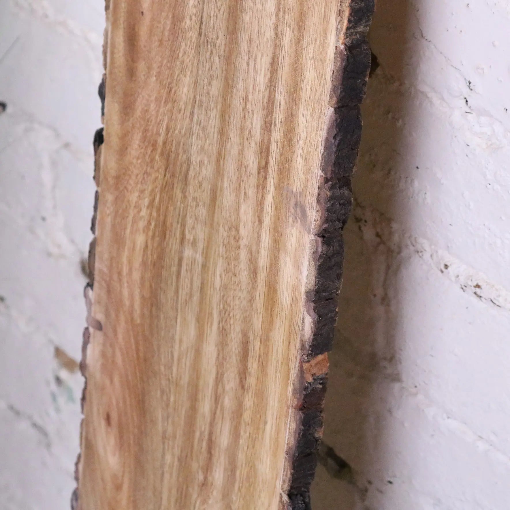 Bhimra Wooden Long Serving Board 101cm Bark Edge