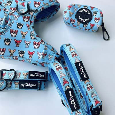 Blue Chihuahua Print Exclusive Designer Collar by My Chi and Me