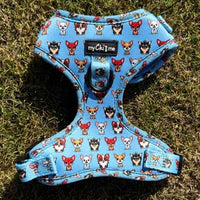 Blue Chihuahua Print Exclusive Small Dog Harness by My Chi and Me