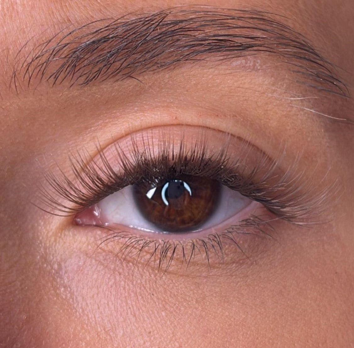 Brea - 'C' Curl Brown Lash Ribbons®