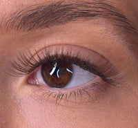 Brea - 'C' Curl Brown Lash Ribbons®