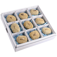 Mosasaur Tooth Fossil Gift Boxed with Information Card (SINGLE UNIT)