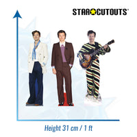 CS1193 Harry Three Pack Shelf Top Cutout  Cardboard Cut Out Height 31cm