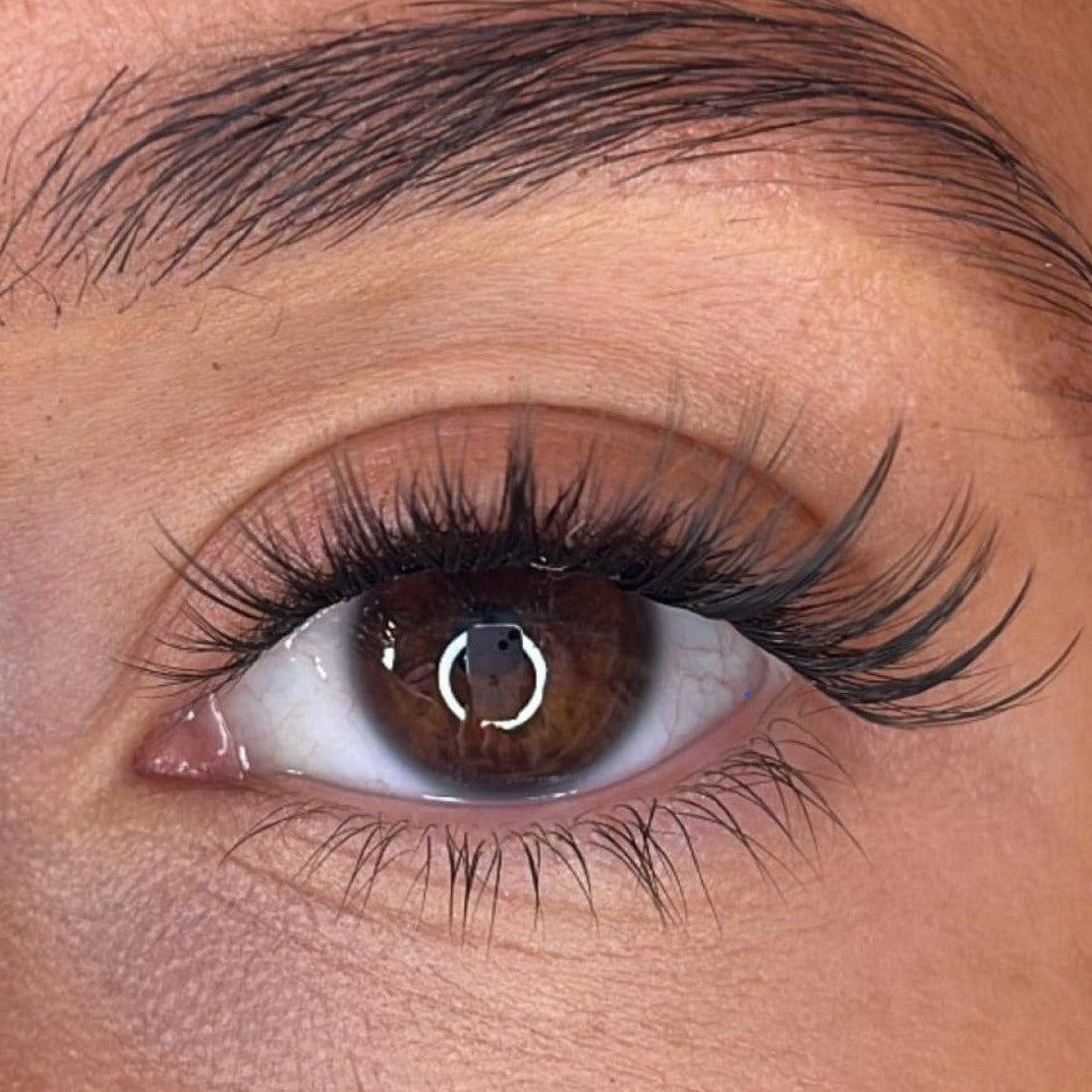 Ciara - 3D 'D' Curl Multi-Length Half Lash Ribbons®