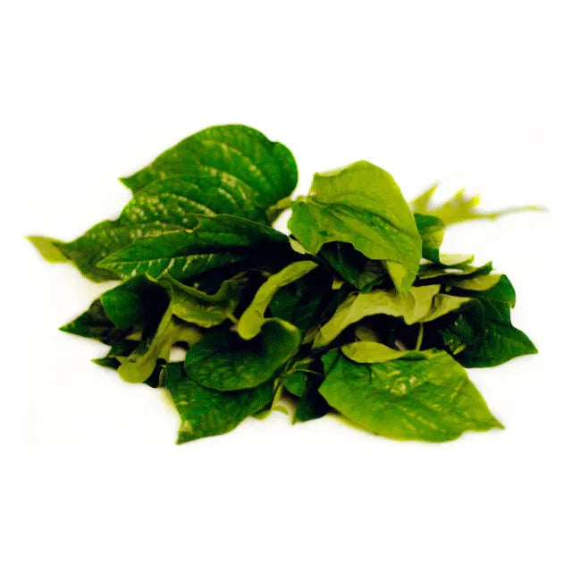 Fresh Bai Cha Poo/Cha Plu Leaf/La Lot 100g