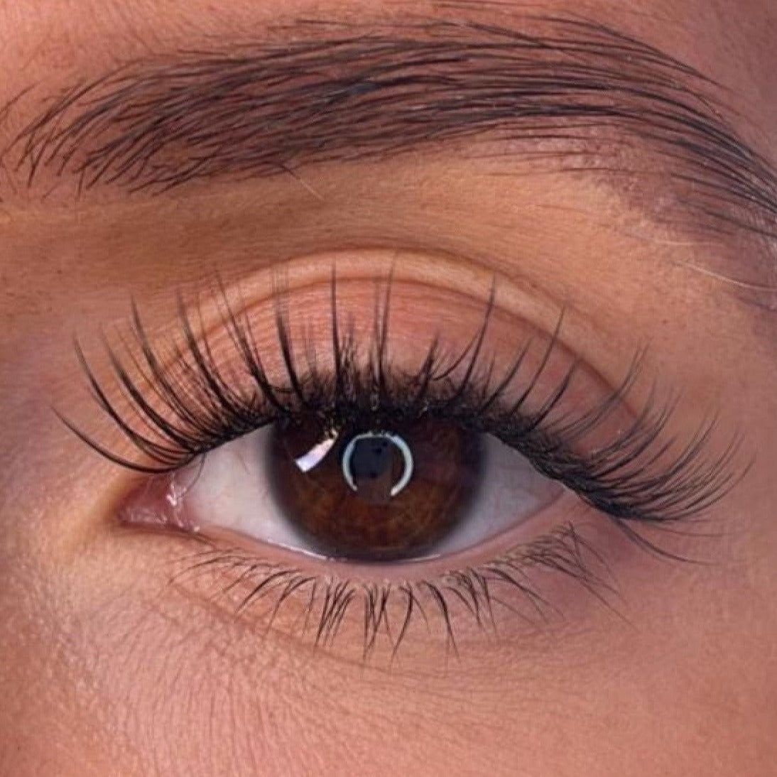 Codee - 3D 'D' Curl 18mm Lash Ribbons® - Sale Item