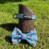 Blue Chihuahua Print Exclusive Designer Collar by My Chi and Me