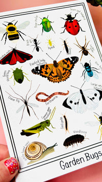 Garden Bug Wall Art Print: Nature Inspired Educational Prints