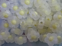 'Yellow Daisy'  Frosted Acrylic Flower Shaped Beads  12x12.5x6mm, Hole: 2.5mm