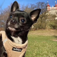 Tiny Trails Step In Soft Touch Suede Effect Faux Fur Lined Puppy and Small Dog Harness Caramel