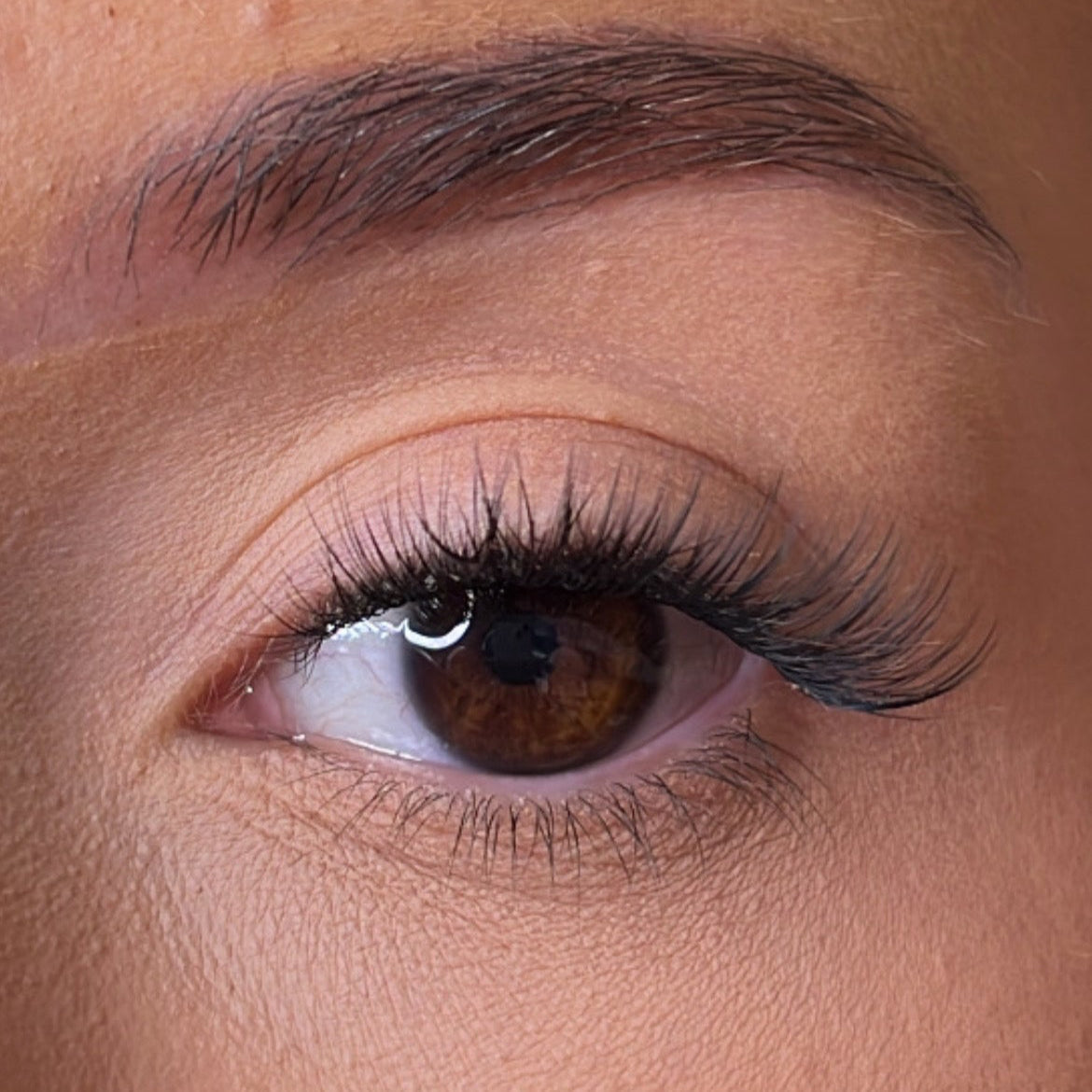 **NEW** Pre-Glued Lashes - K Glue No Faff Lash - Dee