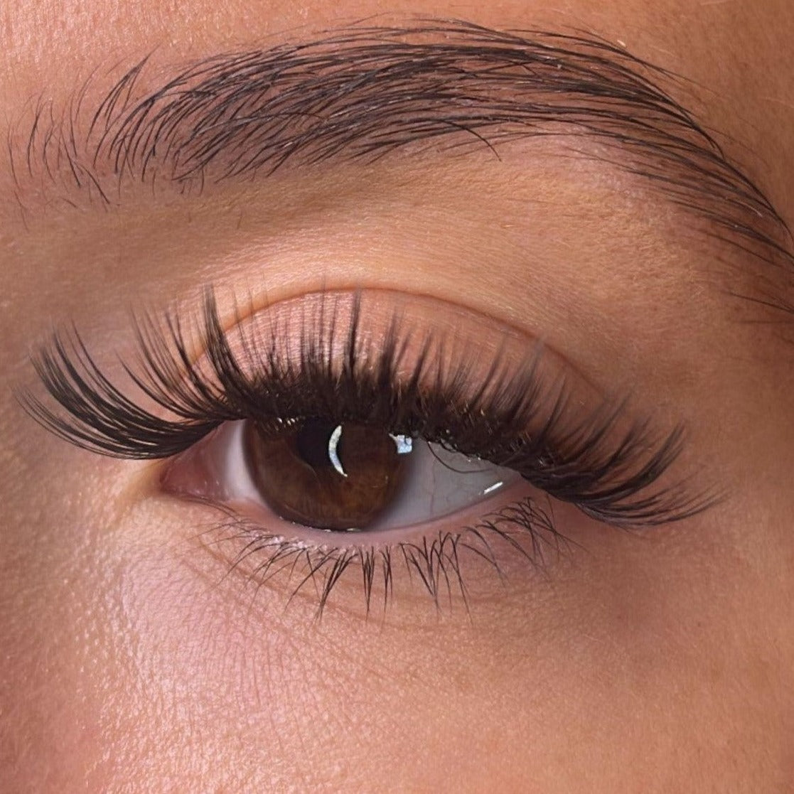 Enya - 'D' Curl Lash Ribbons®