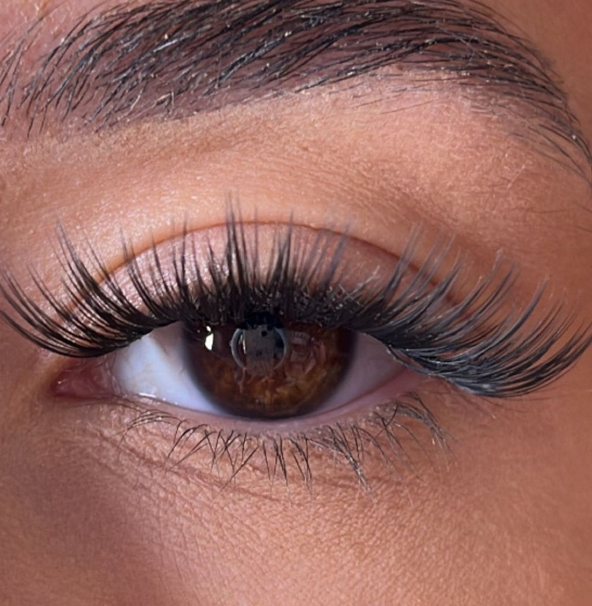 Erin - 'D' Curl Lash Ribbons®