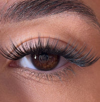 Erin - 'D' Curl Lash Ribbons®