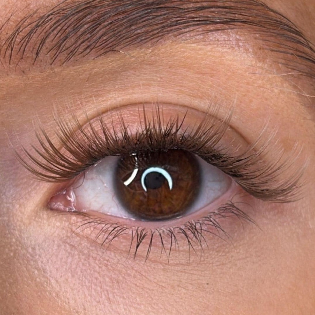 Erin - 'C' Curl Brown Lash Ribbons®