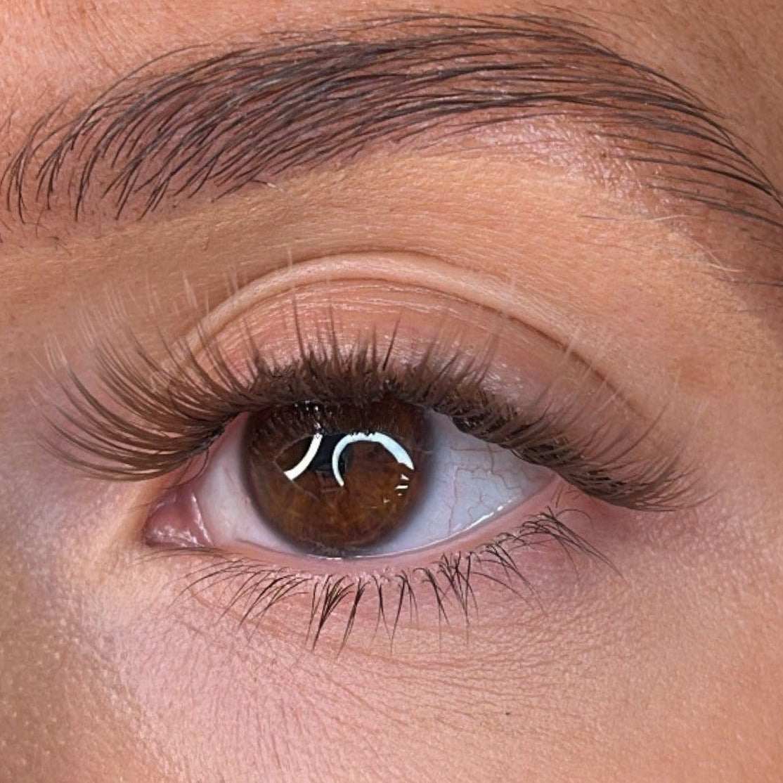 Erin - 'C' Curl Brown Lash Ribbons®