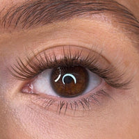 Erin - 'C' Curl Brown Lash Ribbons®