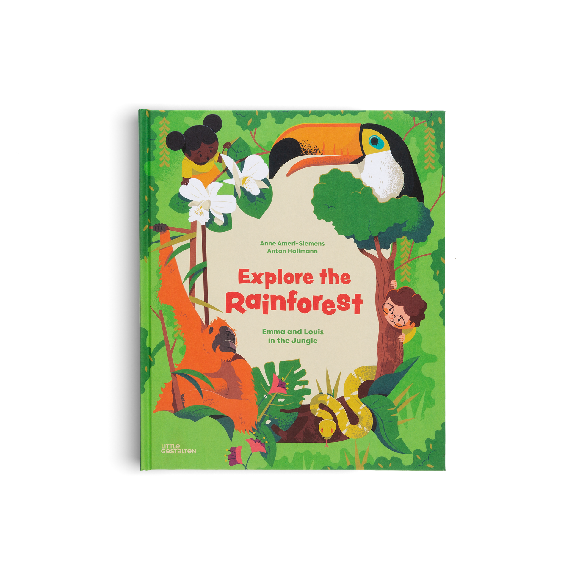 Explore the Rainforest