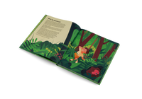 Explore the Rainforest