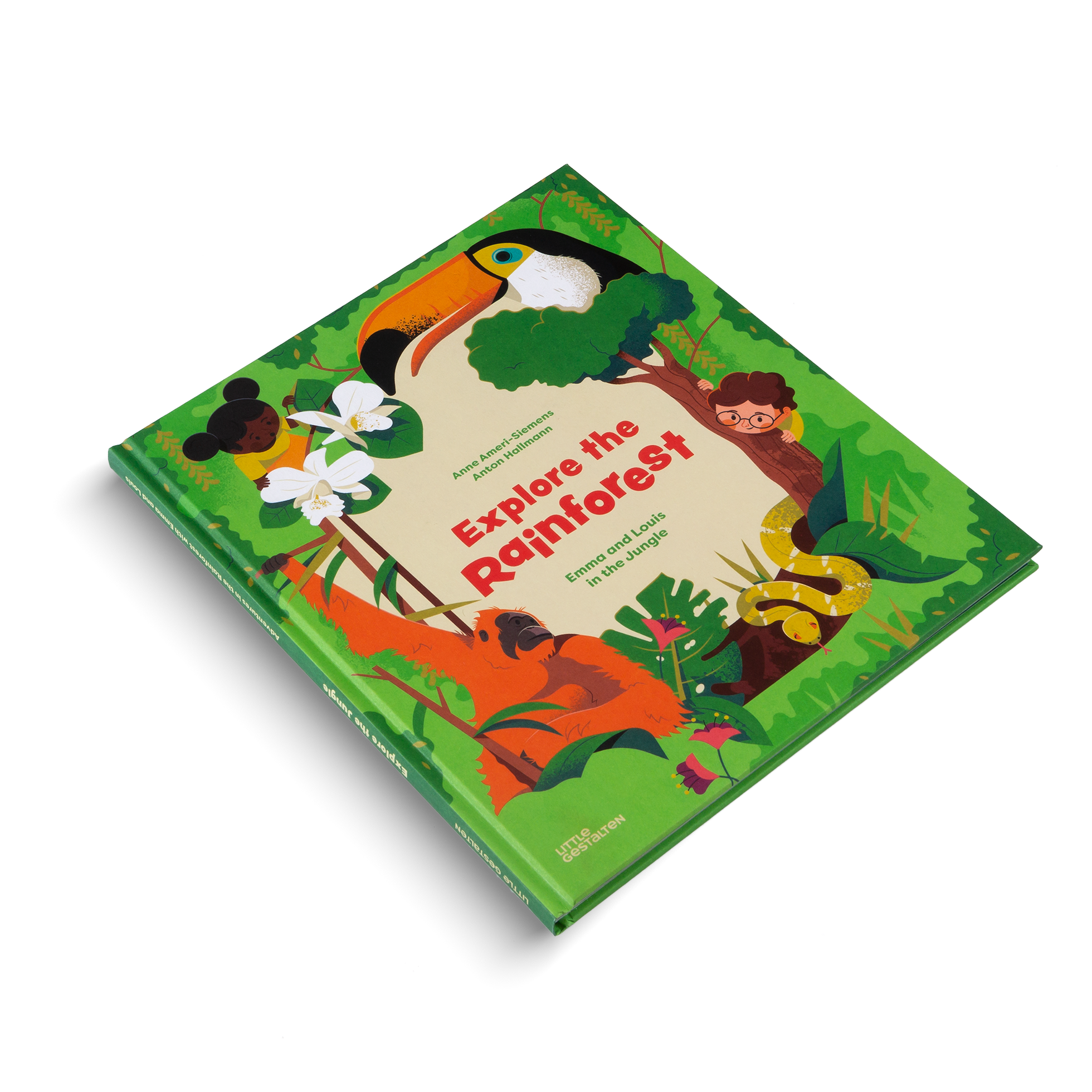 Explore the Rainforest