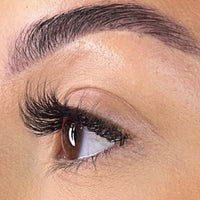 Preglued Lash Clusters -  Faff Lash - Ava