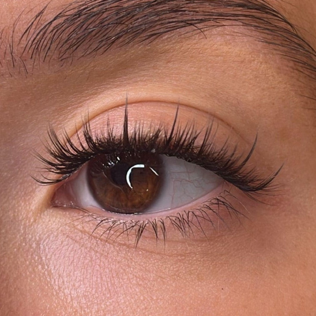 Fallon Pre Styled Lash Ribbons®