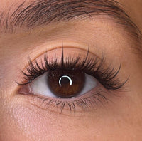 Fallon Pre Styled Lash Ribbons®