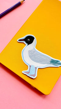 Black headed Gull Illustrated Vinyl Sticker