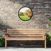 SunCatcher Garden Mirror Brody, Highland Cow Illustrations by Bree Merryn
