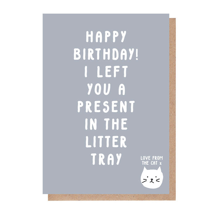 Cheeky Cat Birthday Card - Present In The Litter Tray