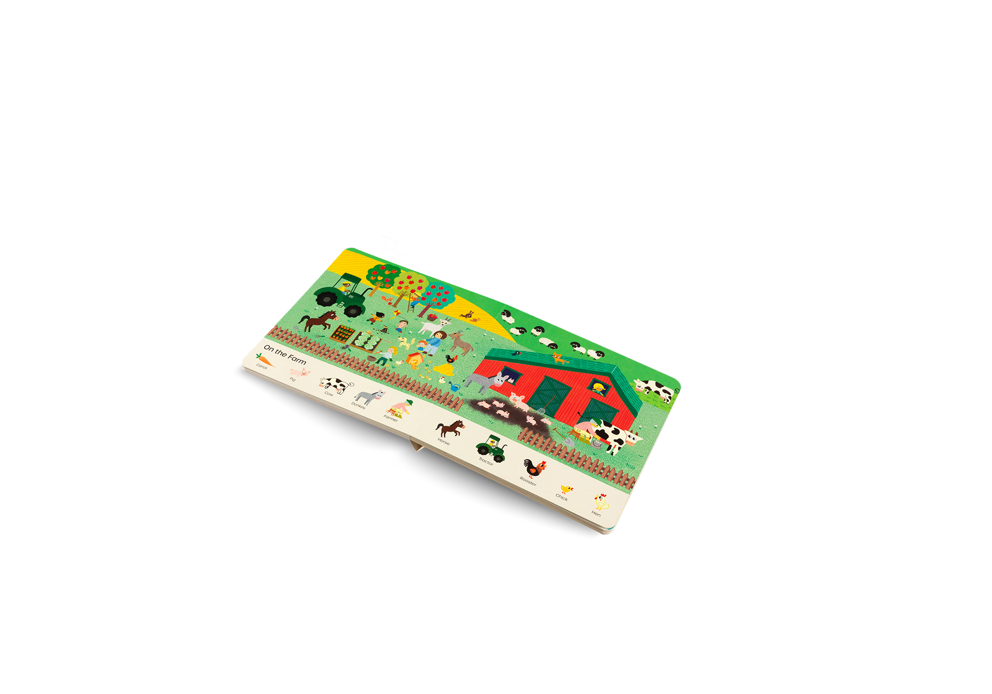 I Find My First Words