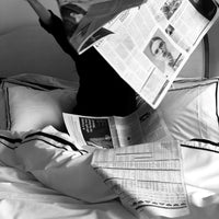 New Yorker Bundle