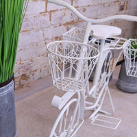 Whimsical Belura Large Bicycle Planter for Charming Outdoor Spaces